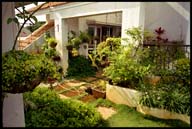 blr roof garden   15058 bytes