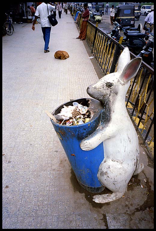 trash bunny